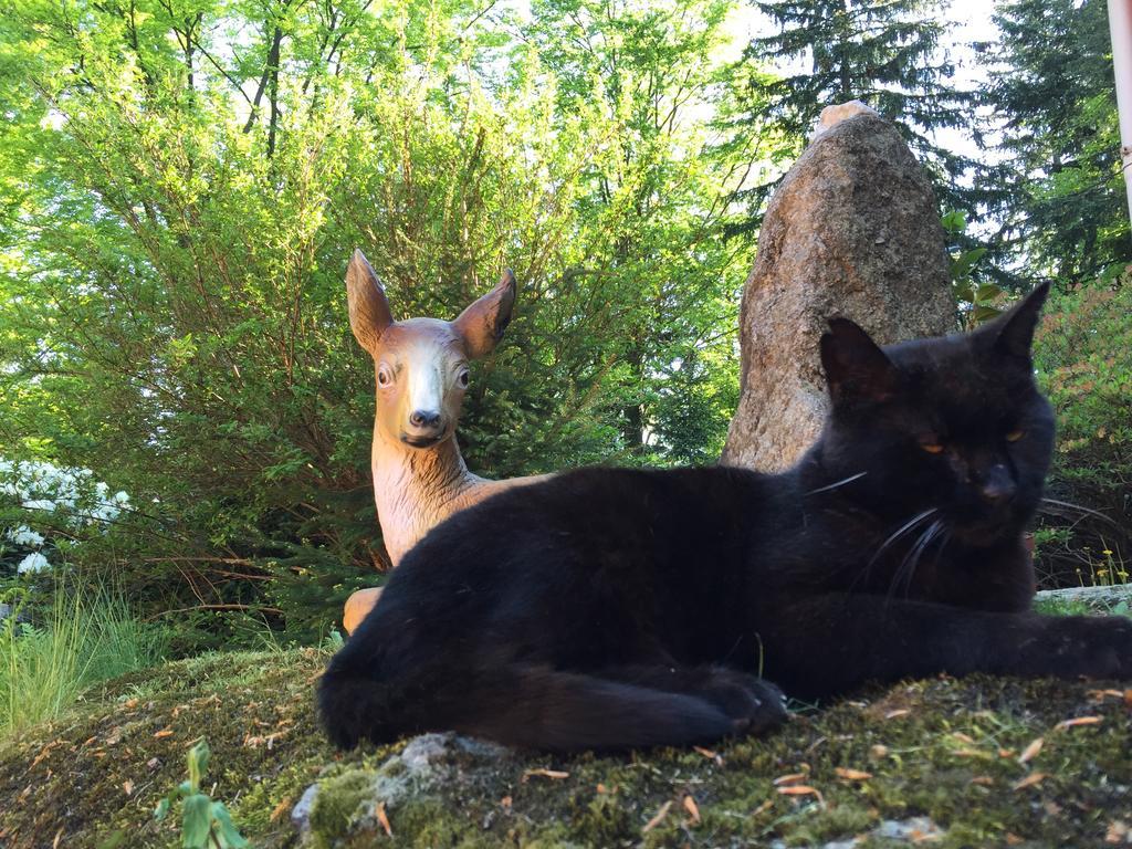 Dom Lidia Villa Szklarska Poreba Luaran gambar